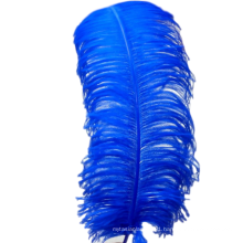 Wholesale Hot-Selling Gorgeous Natural Ostrich Feather for Decorations